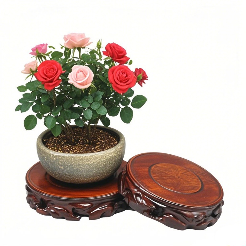 Holz-Pflanzuntersetzer & Blume – Coffee Tea Gardens Bewertung und Preis